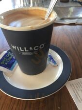 Will & Co