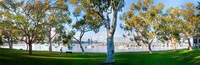 The University Club Of Western Australia