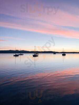 Little Miss Espresso