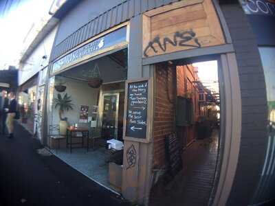 Iris And The Secret Squirrel