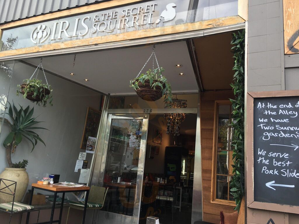 Iris And The Secret Squirrel