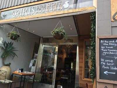 Iris And The Secret Squirrel