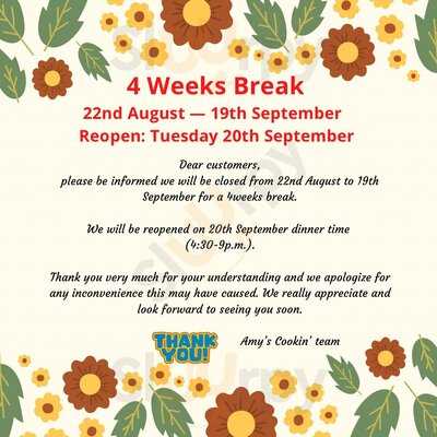 Amy's Cookin Chinese Takeaway