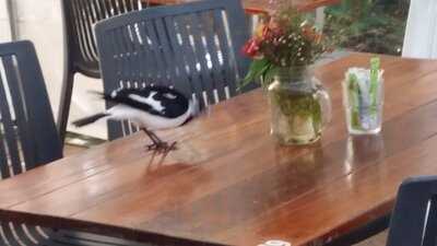 Fremantle Arts Centre Cafe