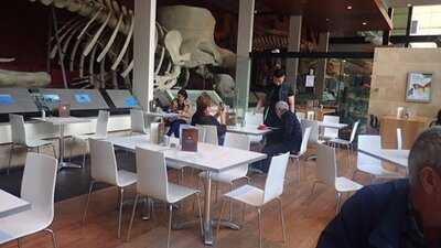 Museum Cafe
