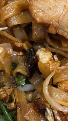 Thai Thyme & Kitchen