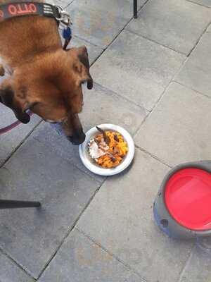 Furbaby Boutique & Cafe