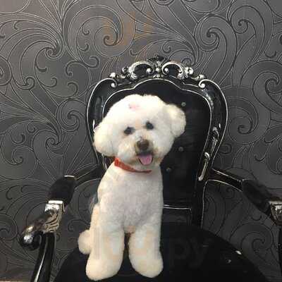 Furbaby Boutique & Cafe