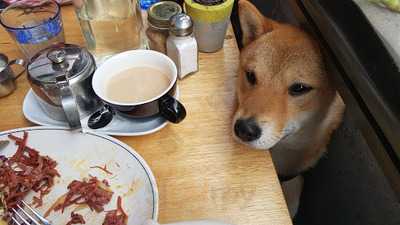 The Terrace Bistro Bar