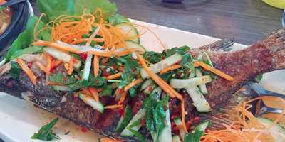 To To Vietnamese Restaurant