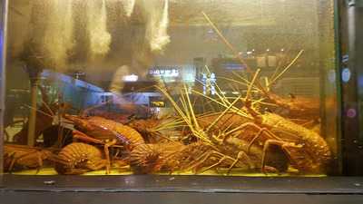 Dragon Palace City Restaurant And Bar