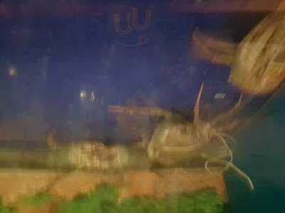 T Chow Chinese Restaurant