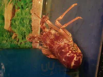 T Chow Chinese Restaurant