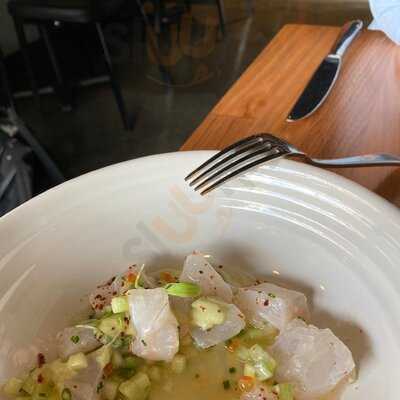 The Black Toro Windsor