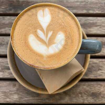 Sassafras Of Paddington