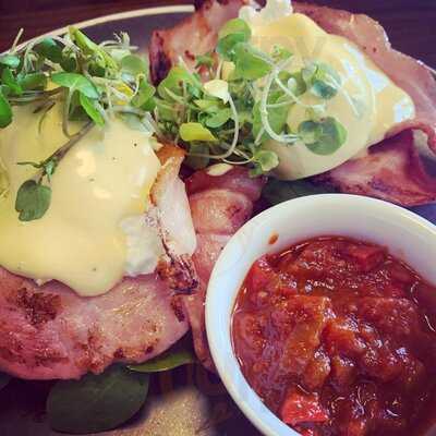 Sassafras Of Paddington