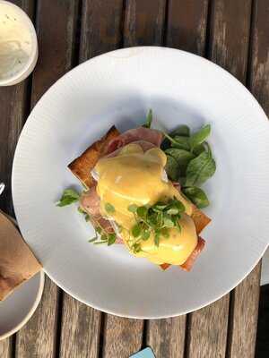 Sassafras Of Paddington