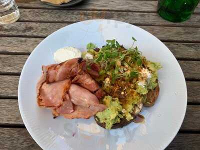 Sassafras Of Paddington