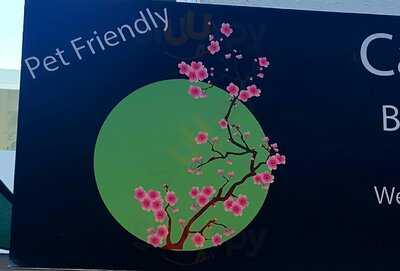 Mama's & Papa's Japanese Cafe