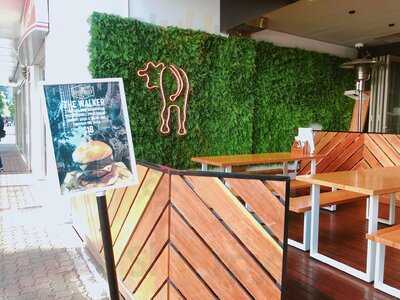 51st Street - George Street