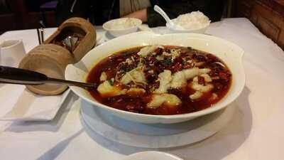 Shanghai Tea Gardens