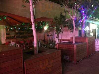 Livingstone's Urban Jungle