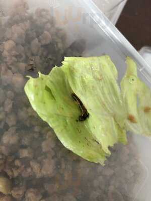 Pochana By Kinn Thai