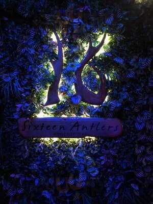 Sixteen Antlers Rooftop Bar