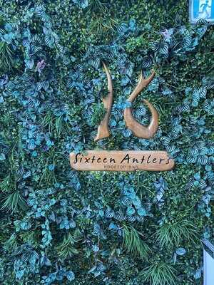 Sixteen Antlers Rooftop Bar