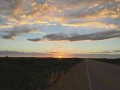 Pacific Rim Mix Plate