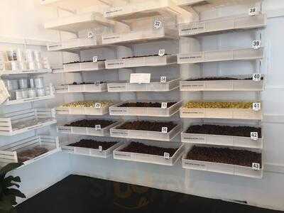 Noosa Chocolate Factory Research Store