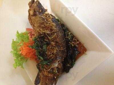 Northern Thai Restaurant