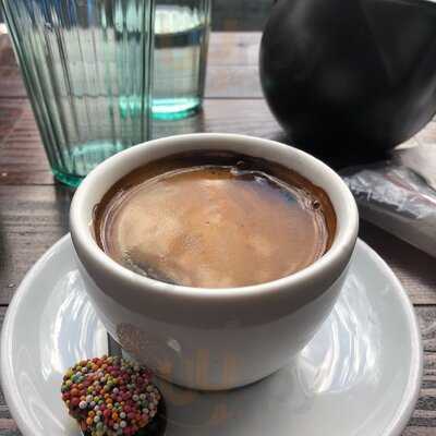 The Wired Owl Coffee Co