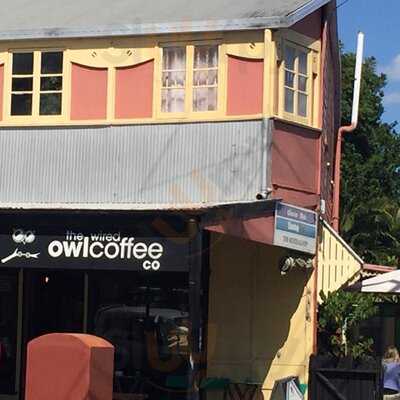 The Wired Owl Coffee Co
