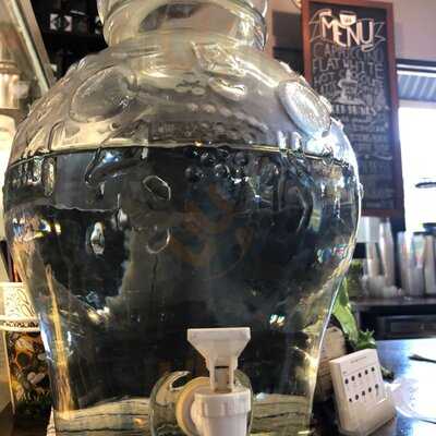 The Wired Owl Coffee Co