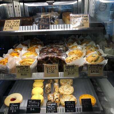 The Wired Owl Coffee Co