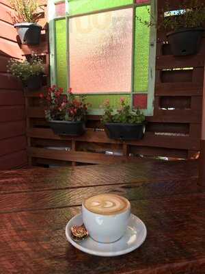 The Wired Owl Coffee Co