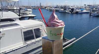 Fro Yo And Bubble Tea