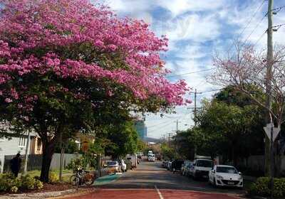 Alberto's Shot Espresso Bar