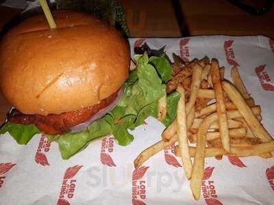 Lord Of The Wings Indooroopilly