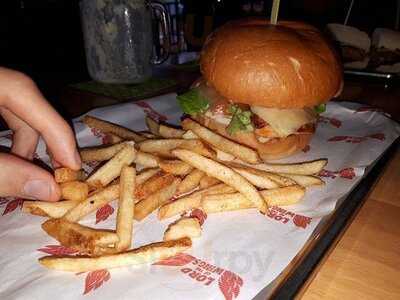 Lord Of The Wings Indooroopilly