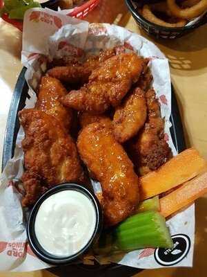 Lord Of The Wings Indooroopilly