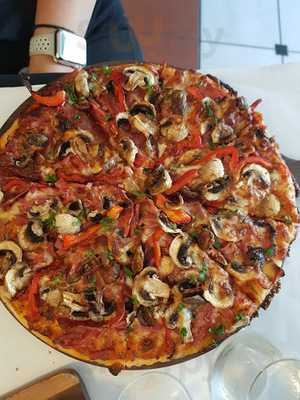 Najjars Mediterranean