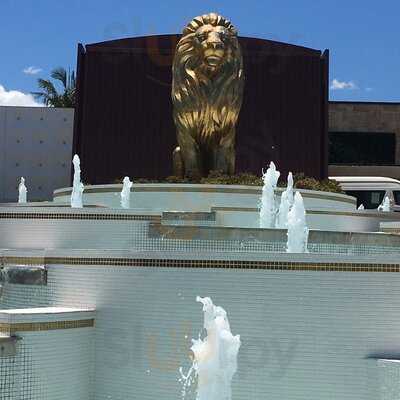 The Lion Richlands
