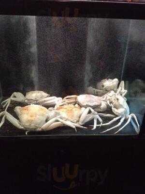 Shun Fung On The River