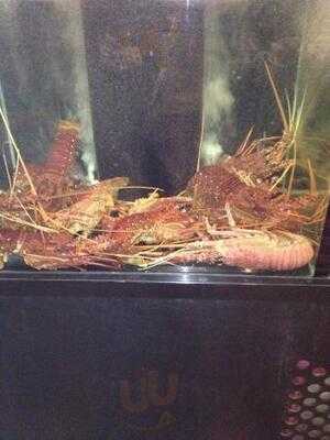 Shun Fung On The River