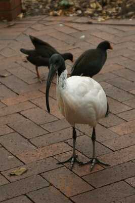 The Gardens Cafe Kiosk & Events