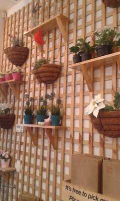 Bings Chinese Restaurant