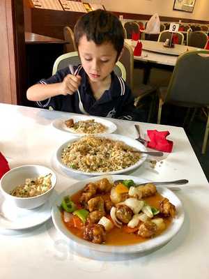 Hong Kong Chinese & Himalayan Curry
