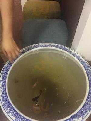 Koba Korean Bbq Restaurant